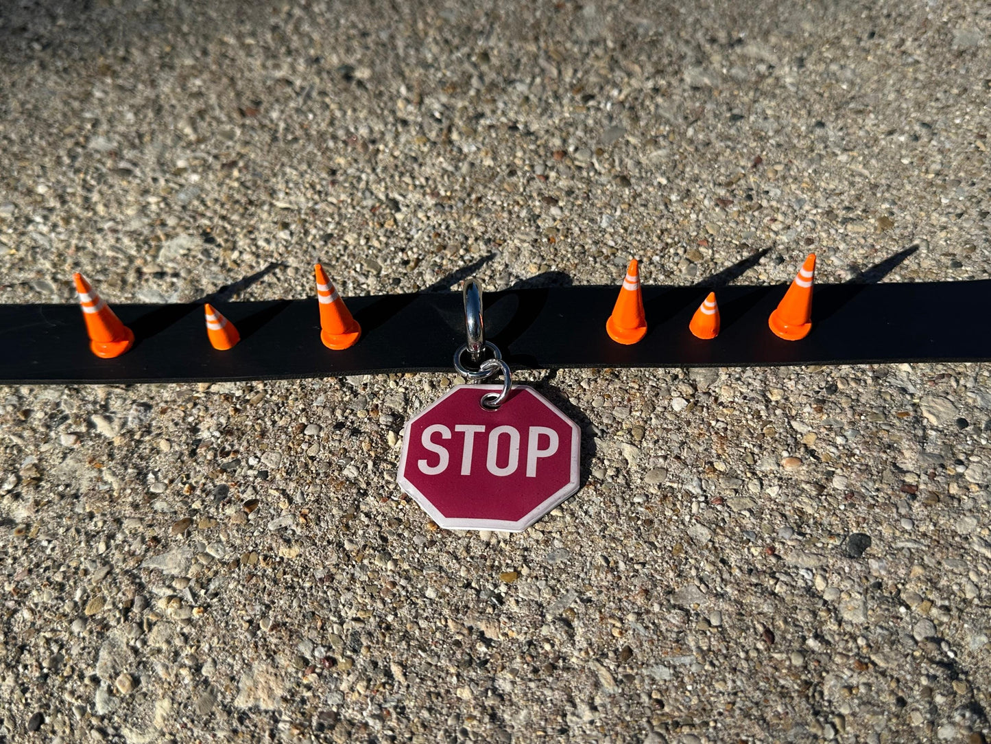 Stop Sign Spiked Choker
